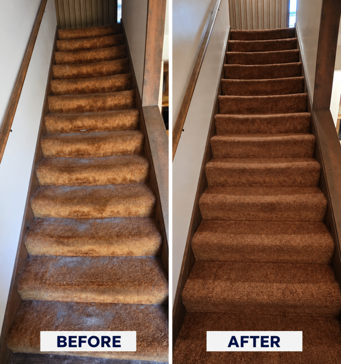 Recent Cleaning Job